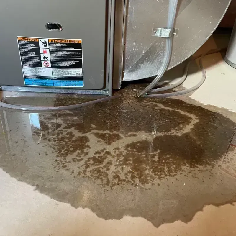 Appliance Leak Cleanup in Hadley, NY